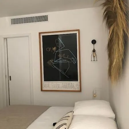 Hibiscus Penthouse * Cannes