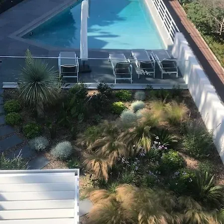 Hibiscus Penthouse * Cannes